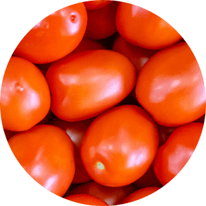 Tomate allongée